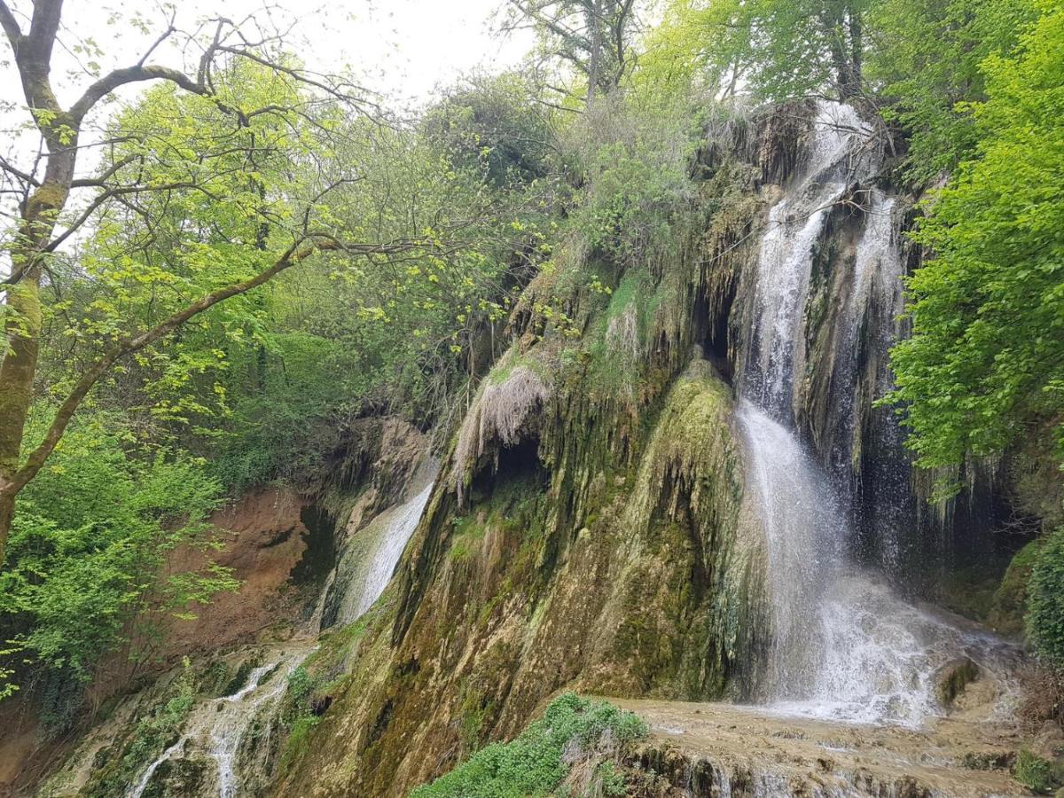 Pensiunea Iulia Rod Dış mekan fotoğraf