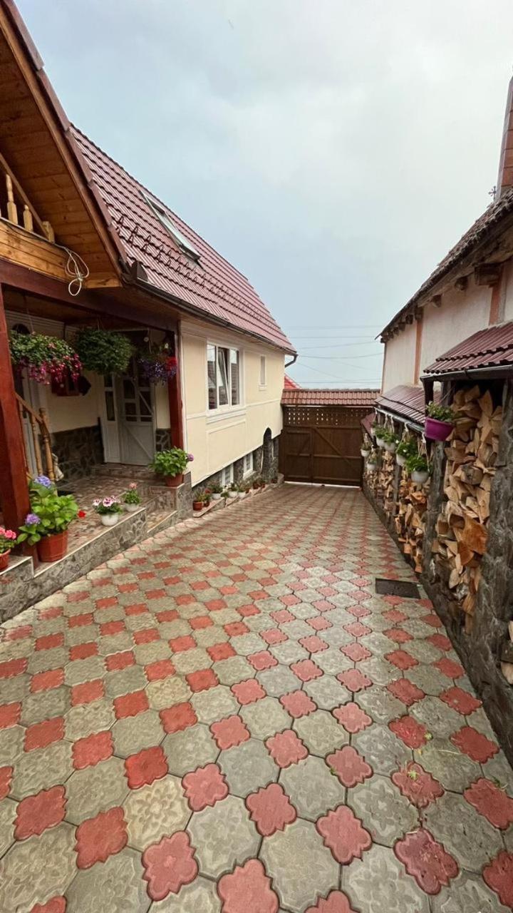 Pensiunea Iulia Rod Dış mekan fotoğraf